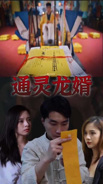 通灵龙婿全集