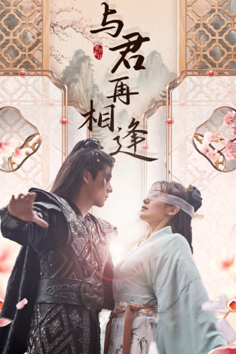 与君再相逢全集
