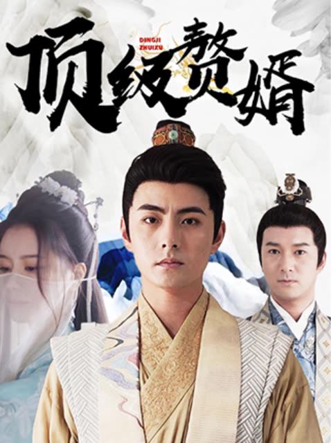 顶级赘婿全集