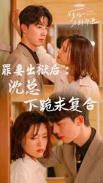 罪妻出狱后：沈总下跪求复合全集