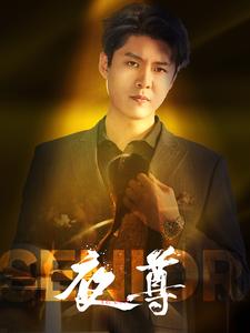 夜尊全集