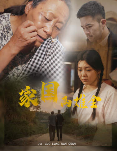 家国两难全&自古忠孝两难全全集
