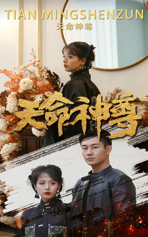 天命神尊全集