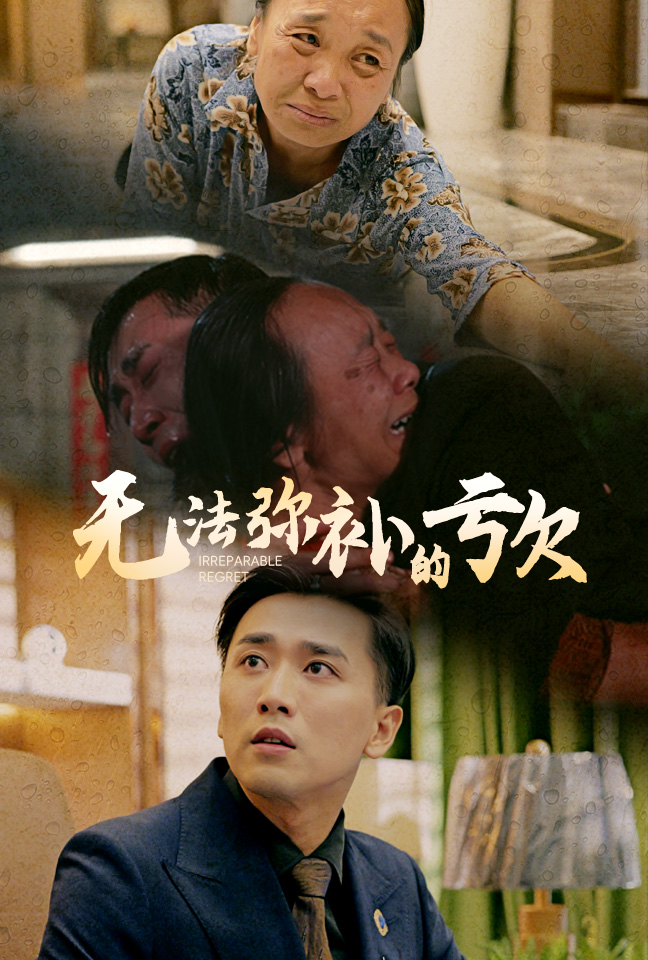 无法弥补的亏欠全集
