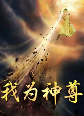 我为神尊全集