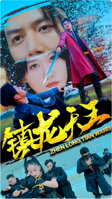 镇龙天王全集