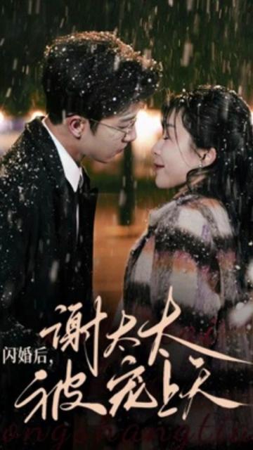 闪婚后，谢太太被宠上天全集