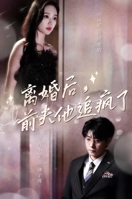 离婚后，前夫他追疯了&今夜星光璀璨全集