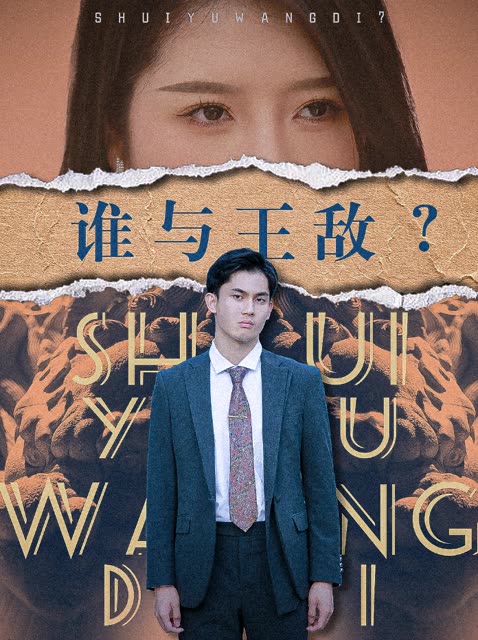 谁与王敌？全集