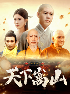 天下嵩山全集