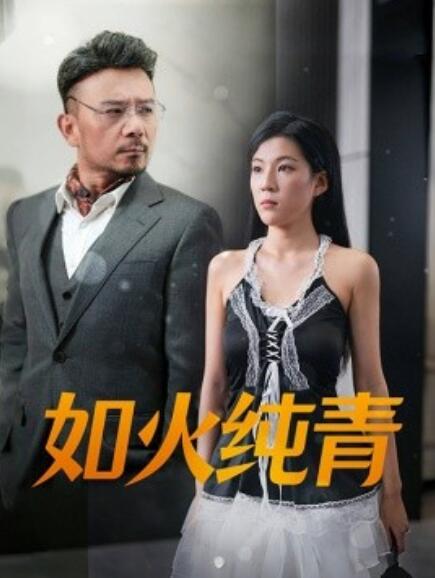 如火纯青全集