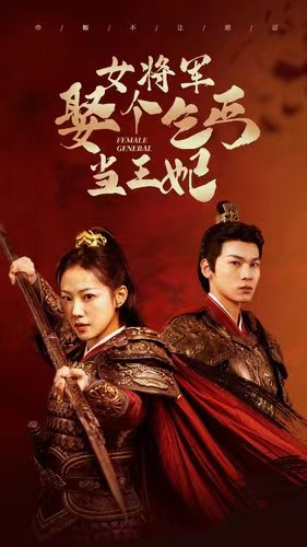 女将军娶个乞丐当王妃全集