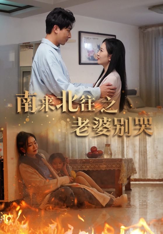 南来北往之老婆别哭全集