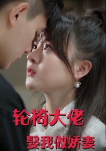 轮椅大佬娶我做娇妻全集