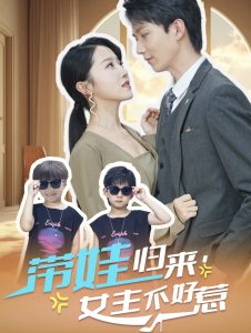 带娃归来女主不好惹全集