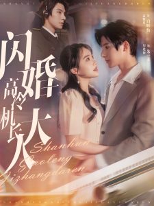 闪婚高冷机长大人全集