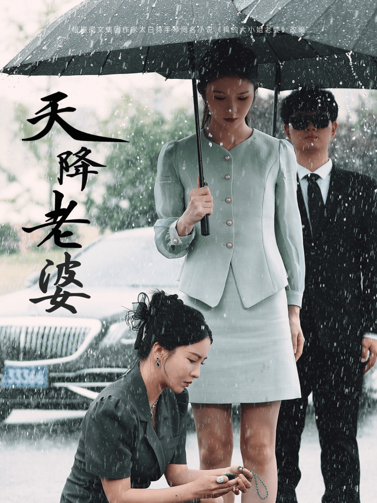 天降老婆全集