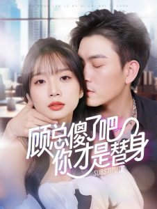 顾总傻了吧你才是替身全集