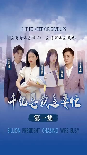 千亿总裁追妻忙全集