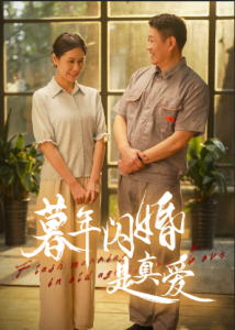 暮年闪婚是真爱全集