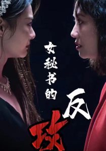 女秘书的反攻全集