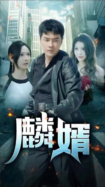 麟婿全集