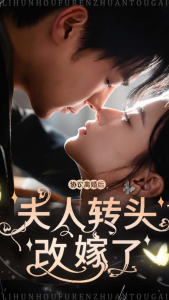 协议离婚后夫人转头改嫁了全集