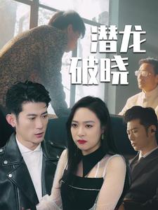 潜龙破晓全集