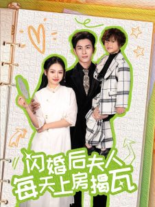 闪婚后夫人每天上房揭瓦全集
