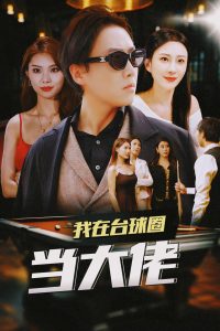 我在台球圈当大佬全集