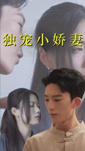 独宠小娇妻全集