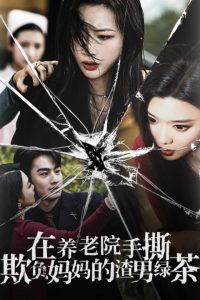 在养老院手撕欺负妈妈的渣男绿茶全集