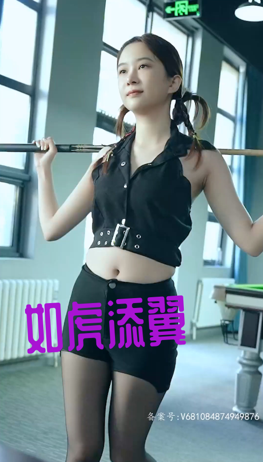 如虎添翼&紫色满塔&玉律金科全集