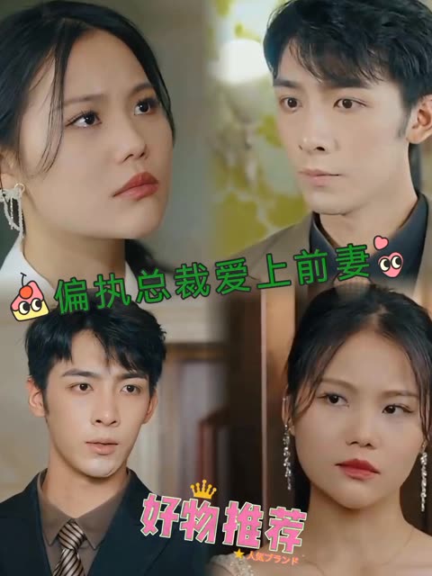 偏执总裁爱上前妻全集