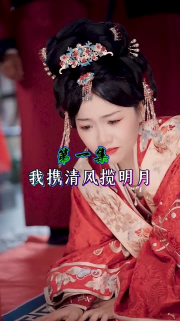 我携清风揽明月全集