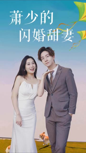 萧少的闪婚甜妻全集