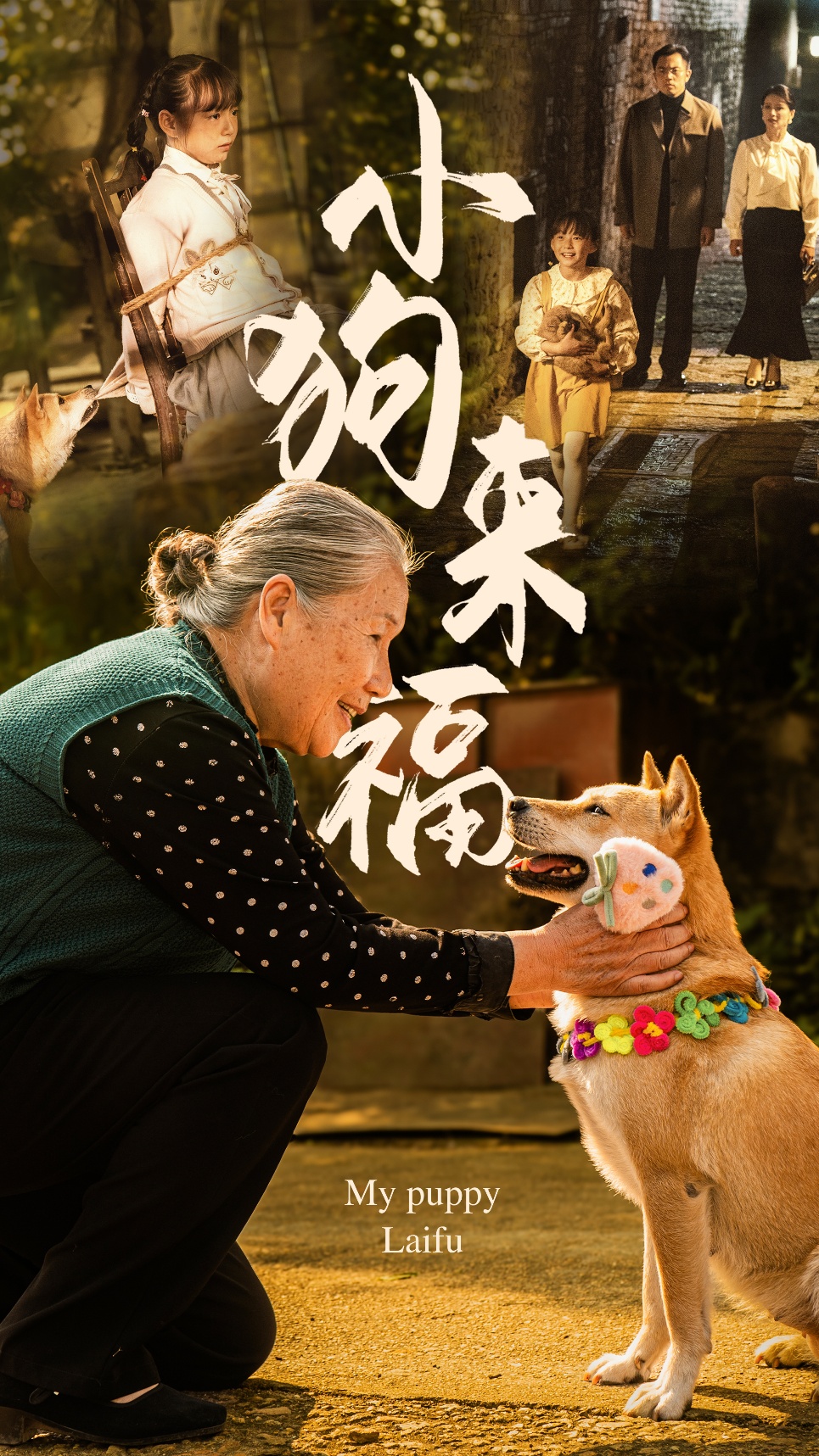 小狗来福全集