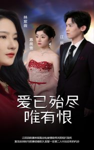 爱已殆尽唯有恨全集