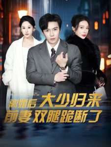 离婚后大少归来前妻双腿跪断了全集