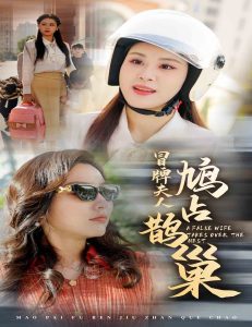 冒牌夫人鸠占鹊巢全集