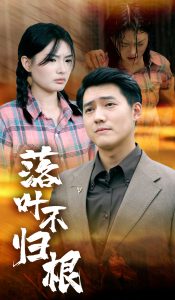 落叶不归根全集