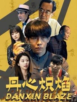 丹心炽焰全集