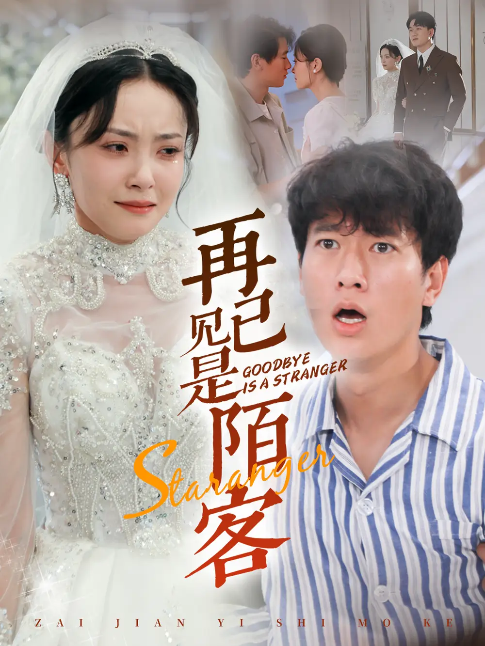 再见已是陌客全集