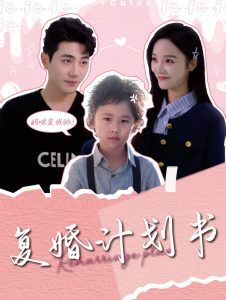 复婚计划书全集