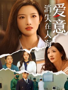 爱意消失在人海全集