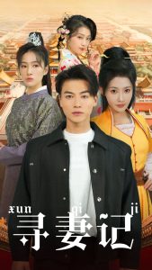 寻妻记全集