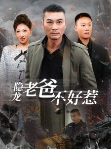 隐龙老爸不好惹全集