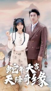 蛇年大吉天降奇缘全集