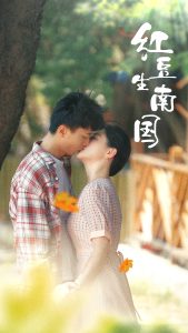 红豆生南国全集