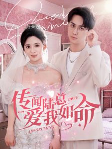 传闻陆总爱我如命全集